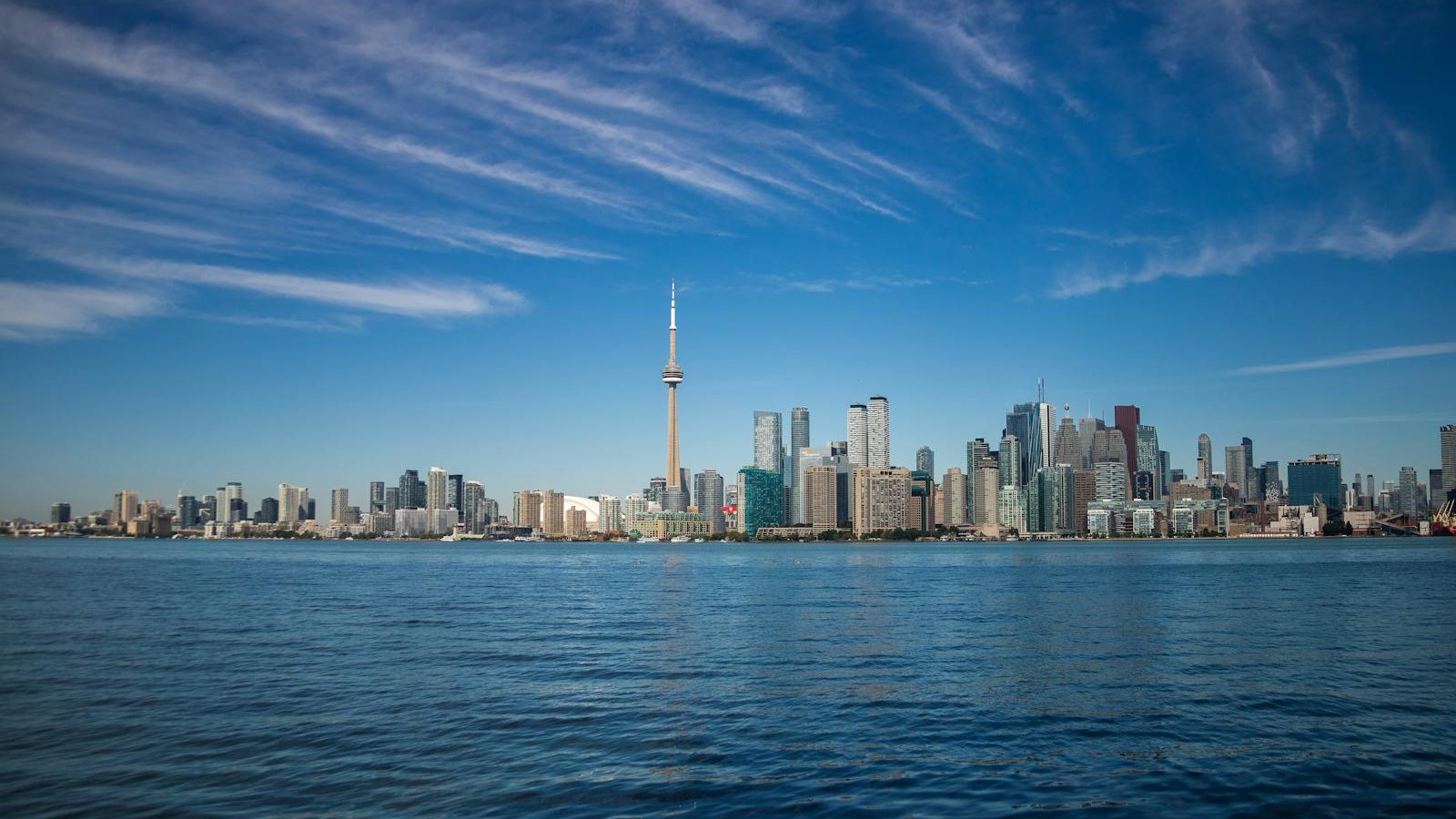 Handyman for Landlords in Toronto by BuildMan
