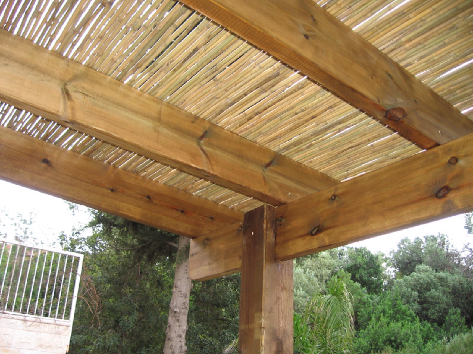 Pergola with privacy screen